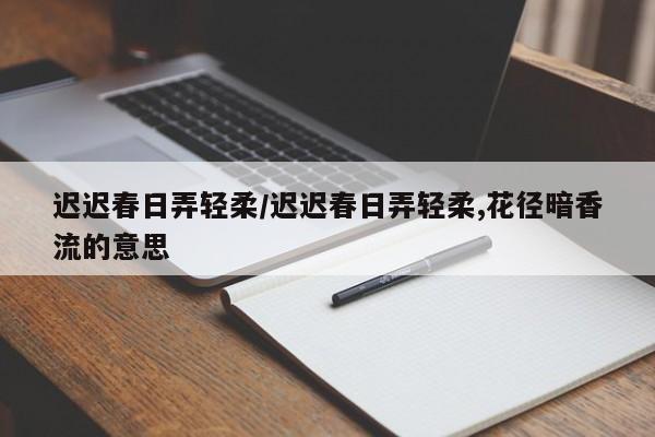 迟迟春日弄轻柔/迟迟春日弄轻柔,花径暗香流的意思