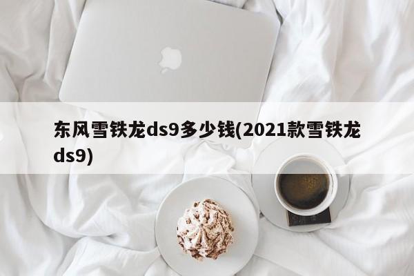 东风雪铁龙ds9多少钱(2021款雪铁龙ds9)