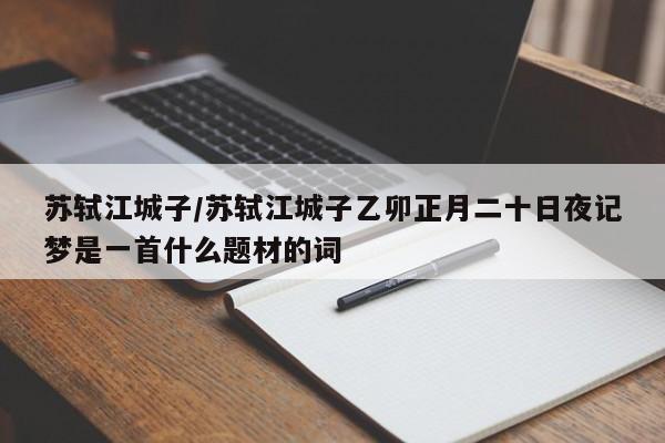 苏轼江城子/苏轼江城子乙卯正月二十日夜记梦是一首什么题材的词