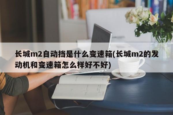 长城m2自动挡是什么变速箱(长城m2的发动机和变速箱怎么样好不好)
