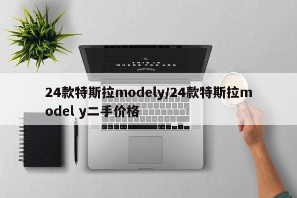 24款特斯拉modely/24款特斯拉model y二手价格